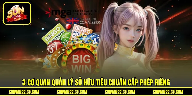 3 cơ quan quản lý sở hữu tiêu chuẩn cấp phép riêng 3 cơ quan quản lý sở hữu tiêu chuẩn cấp phép riêng
